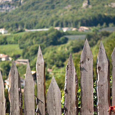 Appartamento Santlhof - Sauvignon Cortaccia Esterno foto