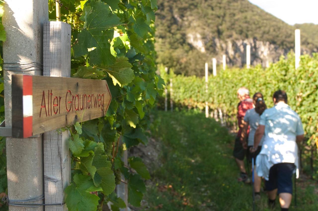 Appartamento Santlhof - Sauvignon Cortaccia Esterno foto